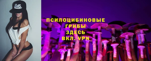 бошки Володарск